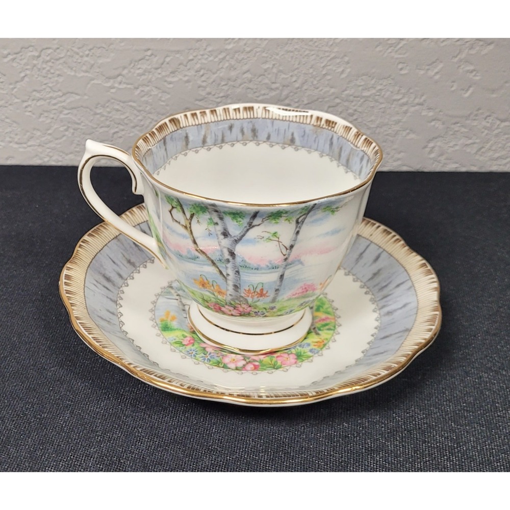 Vtg 1940s-70s Royal Albert Silver Birch Teacup and Saucer Set Bone China